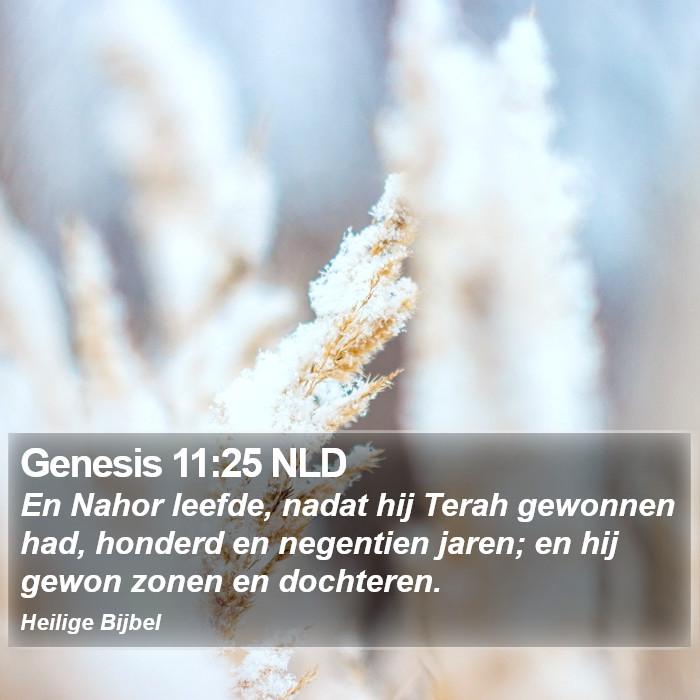 Genesis 11:25 NLD Bible Study