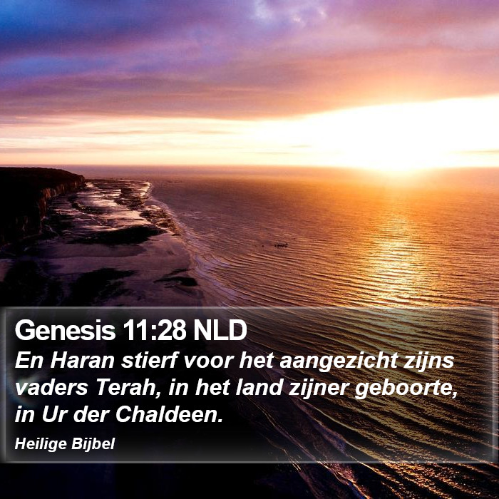 Genesis 11:28 NLD Bible Study