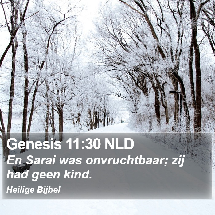 Genesis 11:30 NLD Bible Study