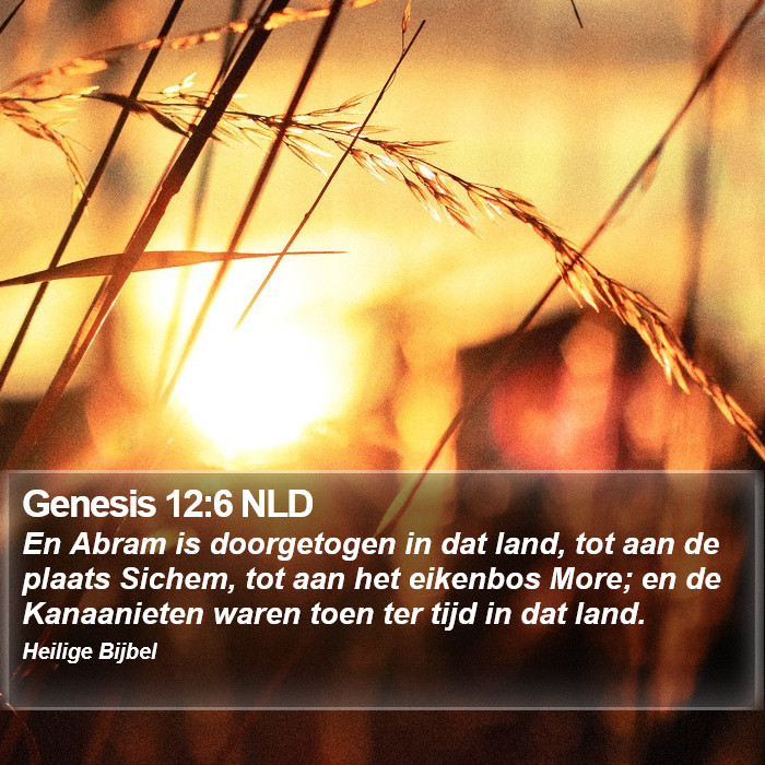 Genesis 12:6 NLD Bible Study