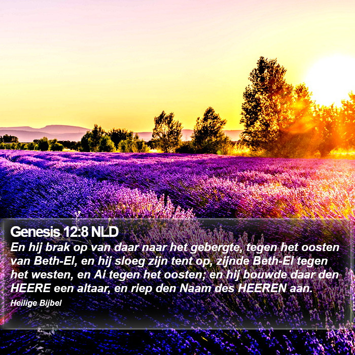 Genesis 12:8 NLD Bible Study