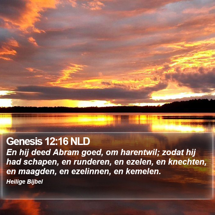 Genesis 12:16 NLD Bible Study