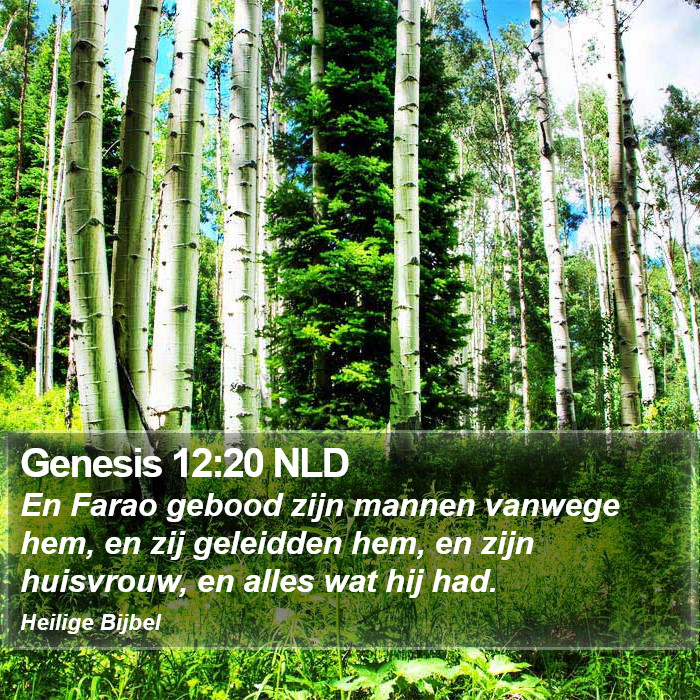 Genesis 12:20 NLD Bible Study