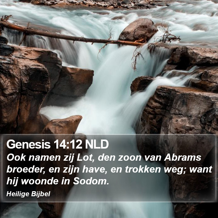 Genesis 14:12 NLD Bible Study