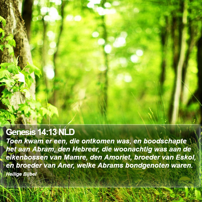 Genesis 14:13 NLD Bible Study