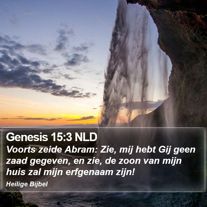 Genesis 15:3 NLD Bible Study