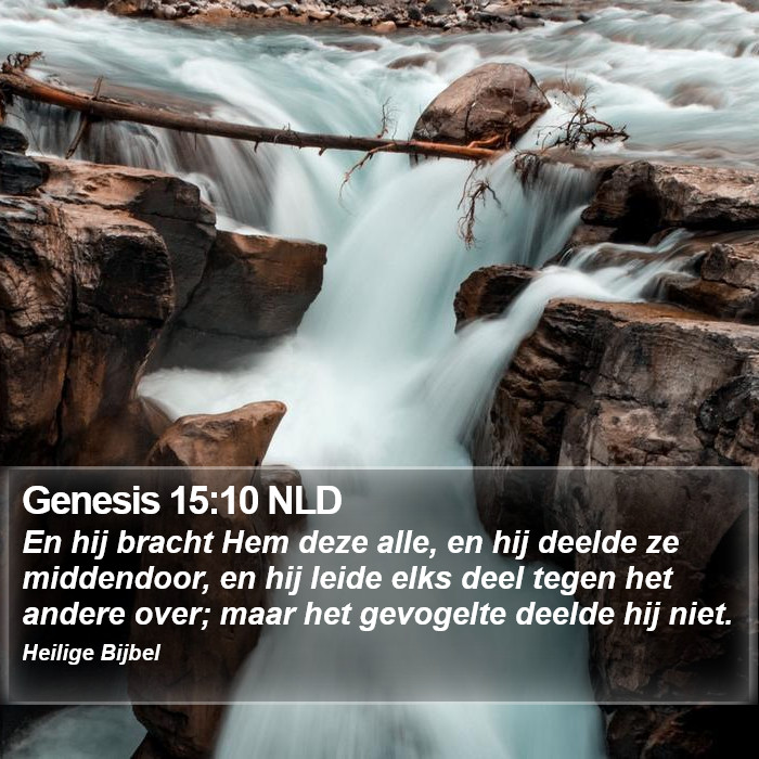 Genesis 15:10 NLD Bible Study