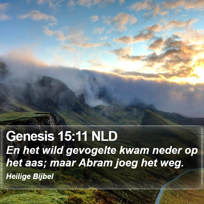 Genesis 15:11 NLD Bible Study