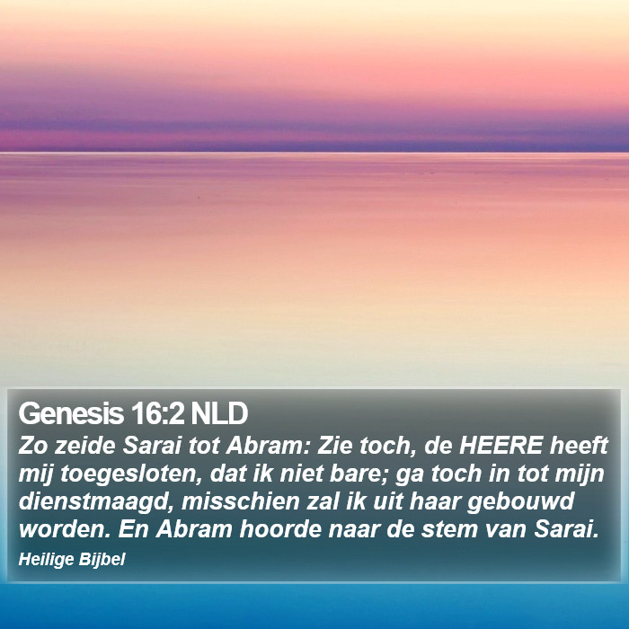Genesis 16:2 NLD Bible Study