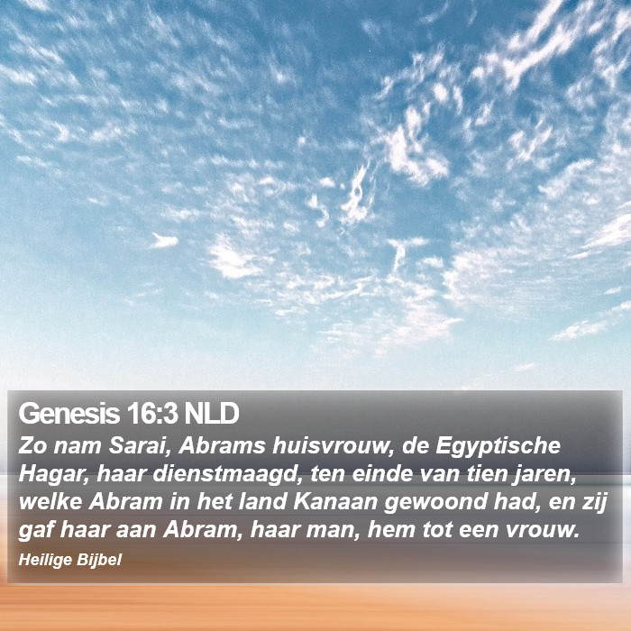 Genesis 16:3 NLD Bible Study