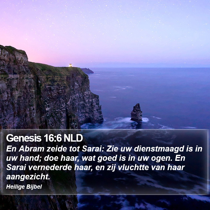 Genesis 16:6 NLD Bible Study