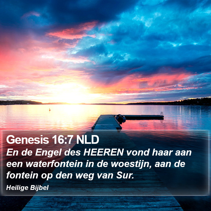 Genesis 16:7 NLD Bible Study