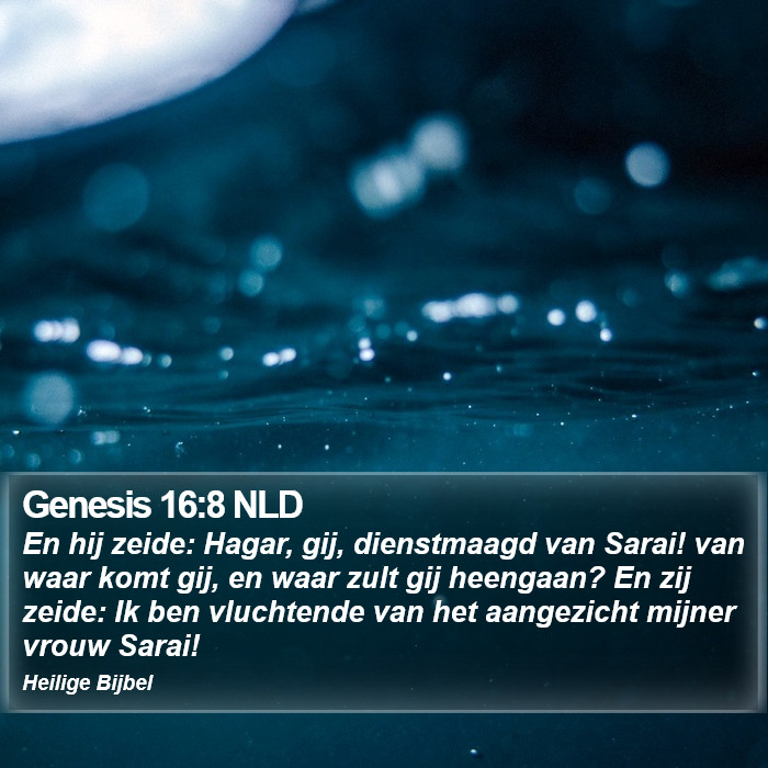Genesis 16:8 NLD Bible Study