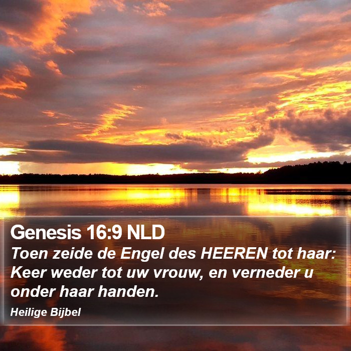 Genesis 16:9 NLD Bible Study