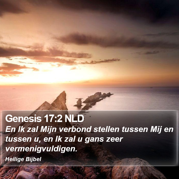 Genesis 17:2 NLD Bible Study