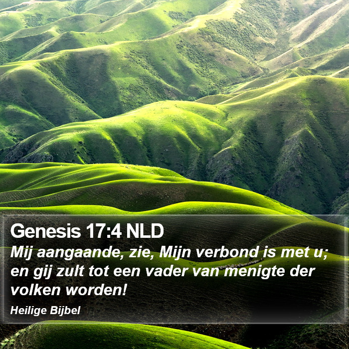 Genesis 17:4 NLD Bible Study