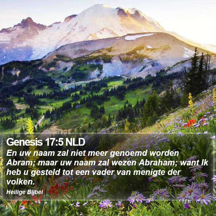 Genesis 17:5 NLD Bible Study