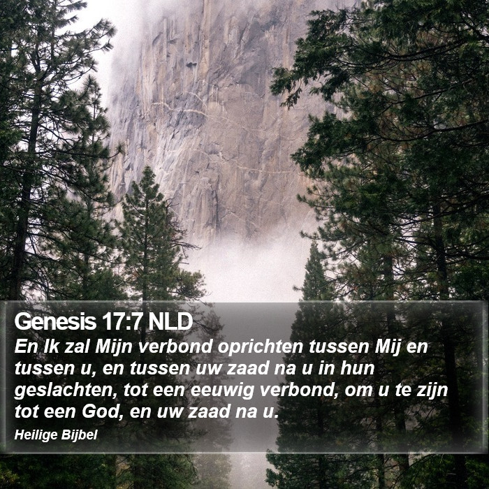 Genesis 17:7 NLD Bible Study