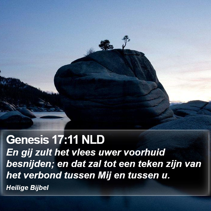 Genesis 17:11 NLD Bible Study