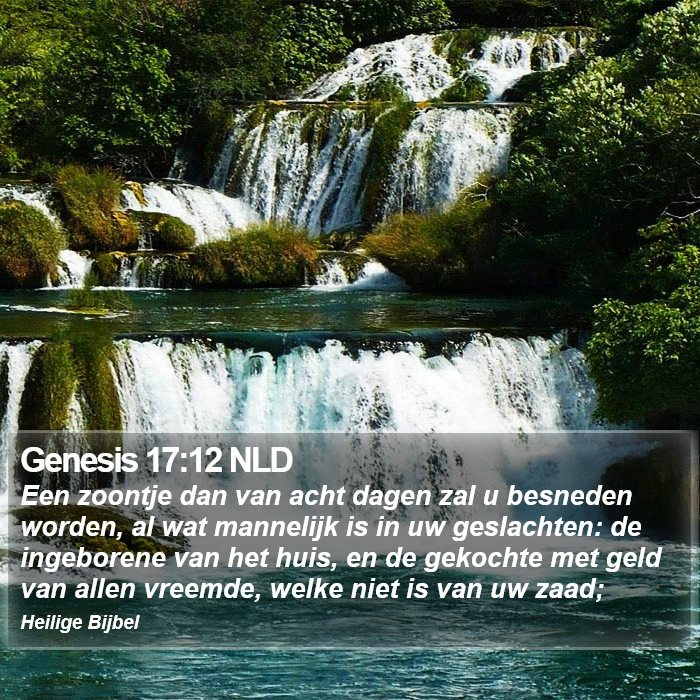 Genesis 17:12 NLD Bible Study