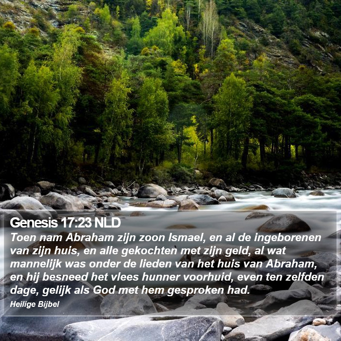 Genesis 17:23 NLD Bible Study