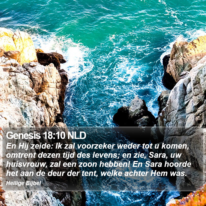 Genesis 18:10 NLD Bible Study