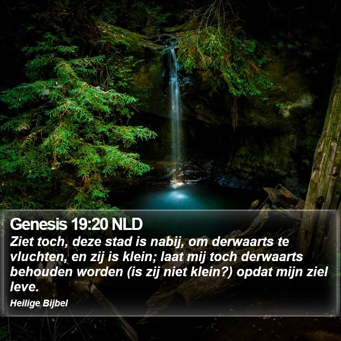 Genesis 19:20 NLD Bible Study