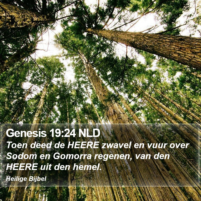 Genesis 19:24 NLD Bible Study
