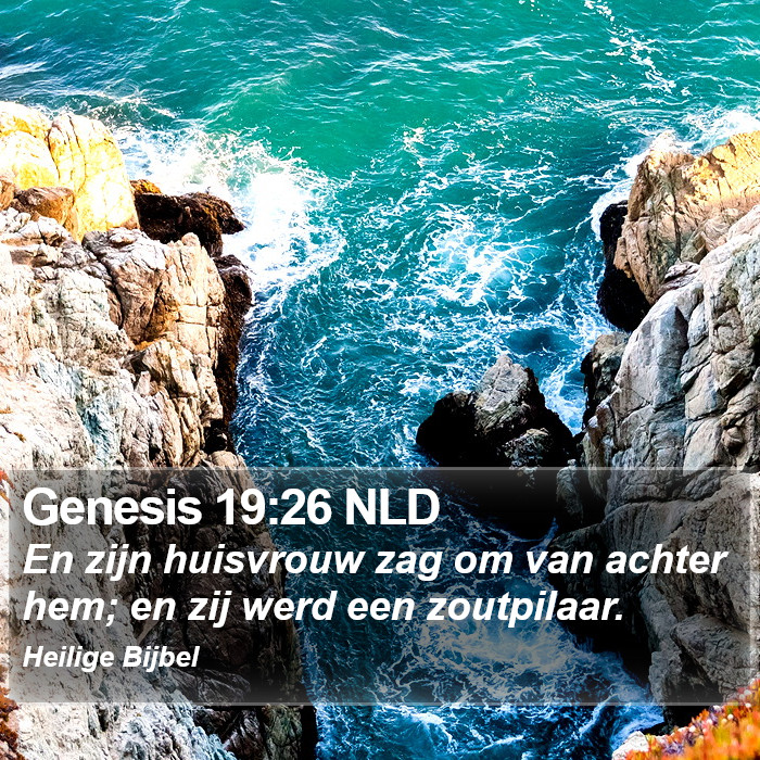 Genesis 19:26 NLD Bible Study