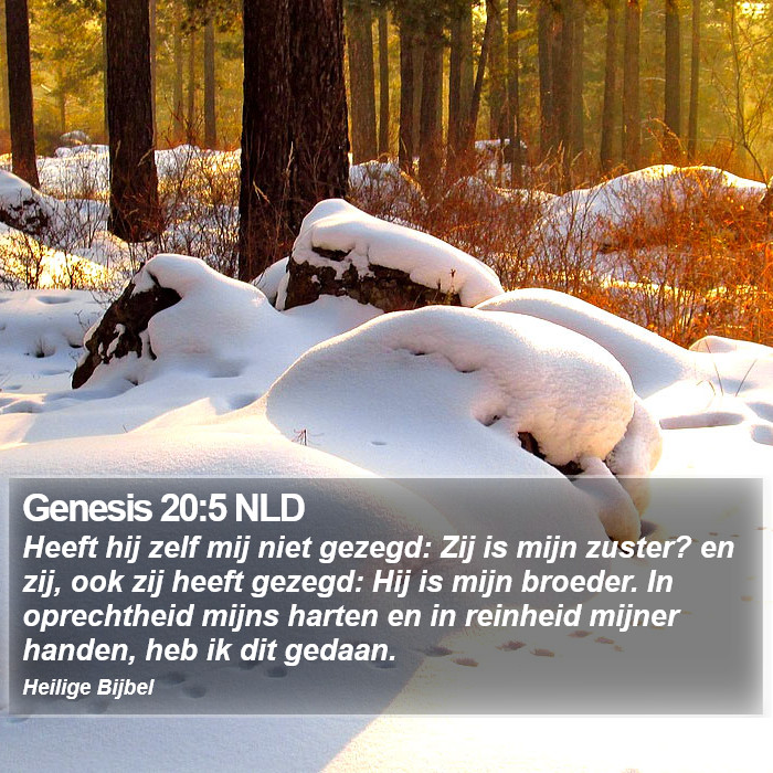 Genesis 20:5 NLD Bible Study