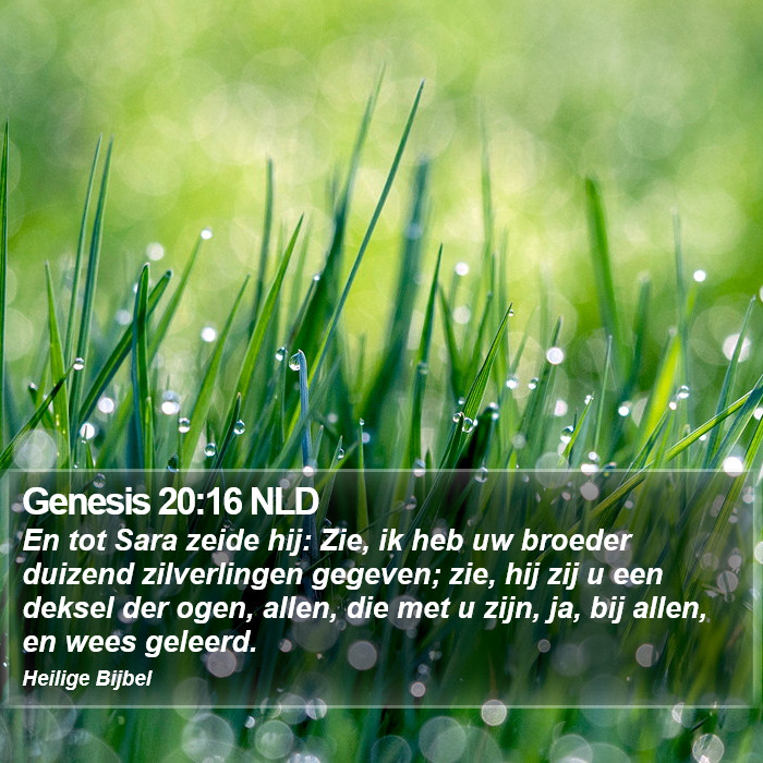 Genesis 20:16 NLD Bible Study