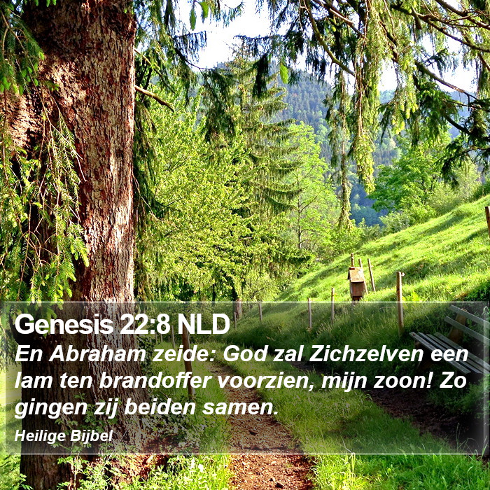 Genesis 22:8 NLD Bible Study