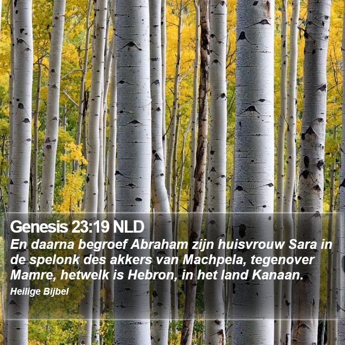 Genesis 23:19 NLD Bible Study