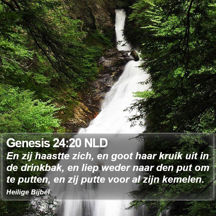 Genesis 24:20 NLD Bible Study