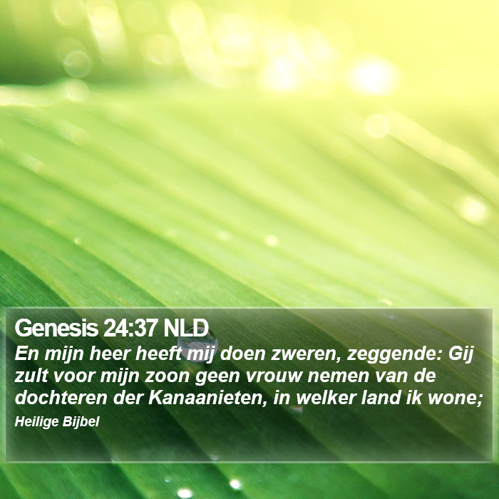 Genesis 24:37 NLD Bible Study