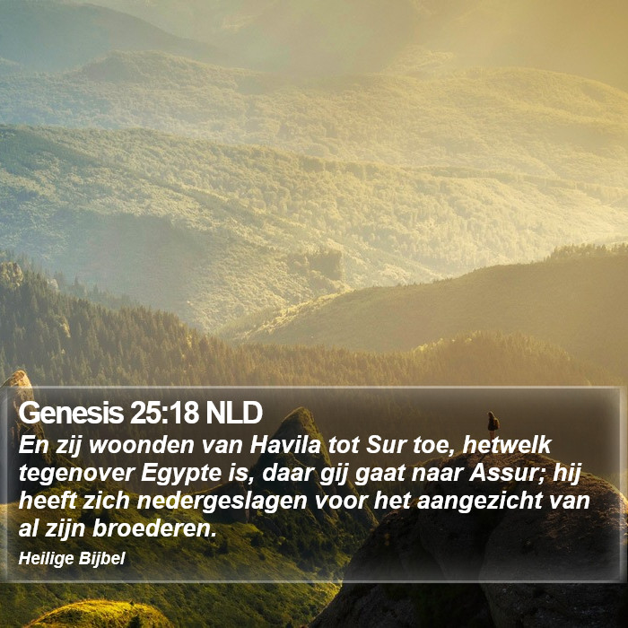 Genesis 25:18 NLD Bible Study
