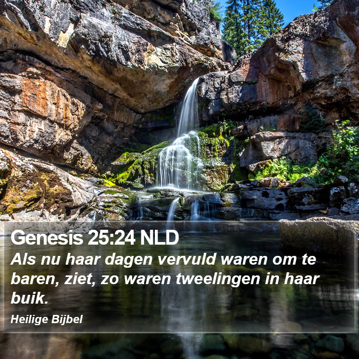 Genesis 25:24 NLD Bible Study
