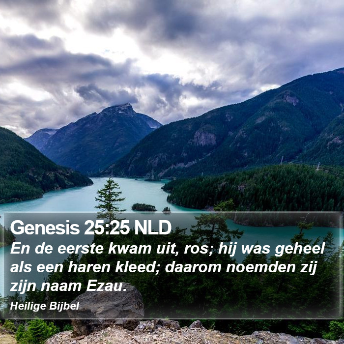 Genesis 25:25 NLD Bible Study