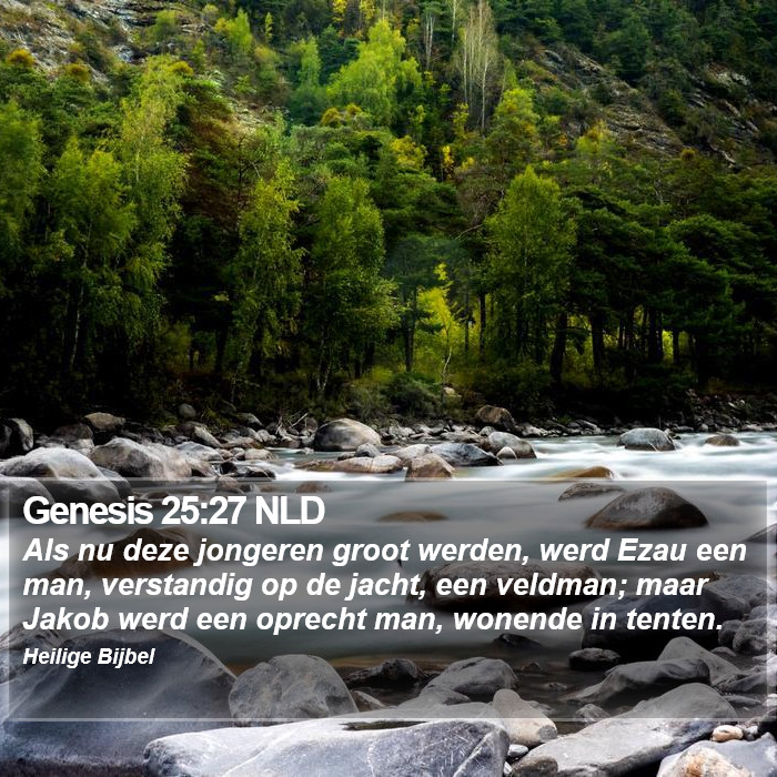 Genesis 25:27 NLD Bible Study