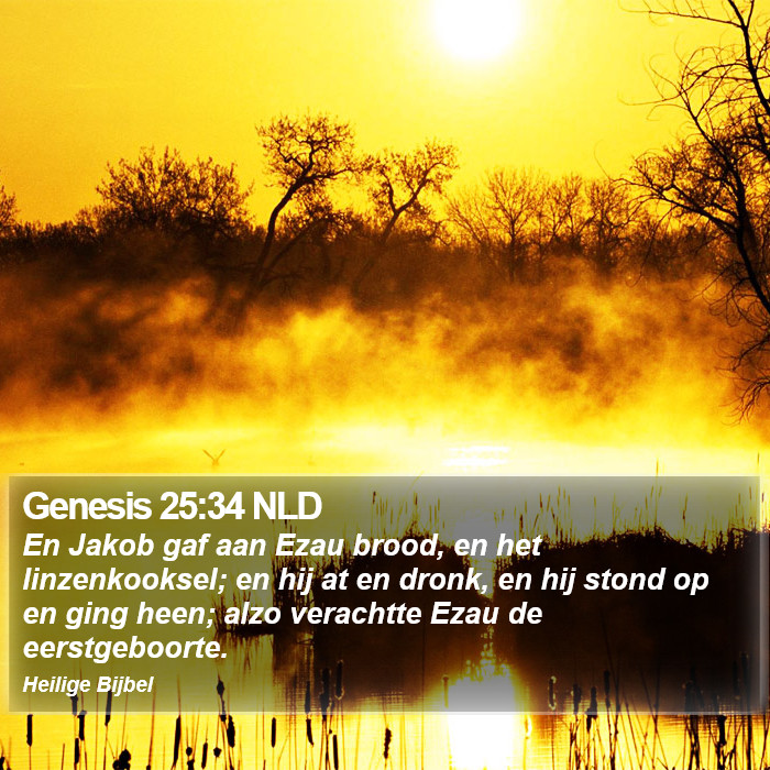 Genesis 25:34 NLD Bible Study