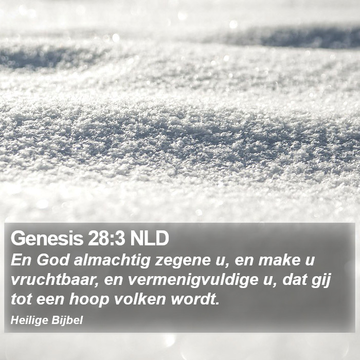Genesis 28:3 NLD Bible Study