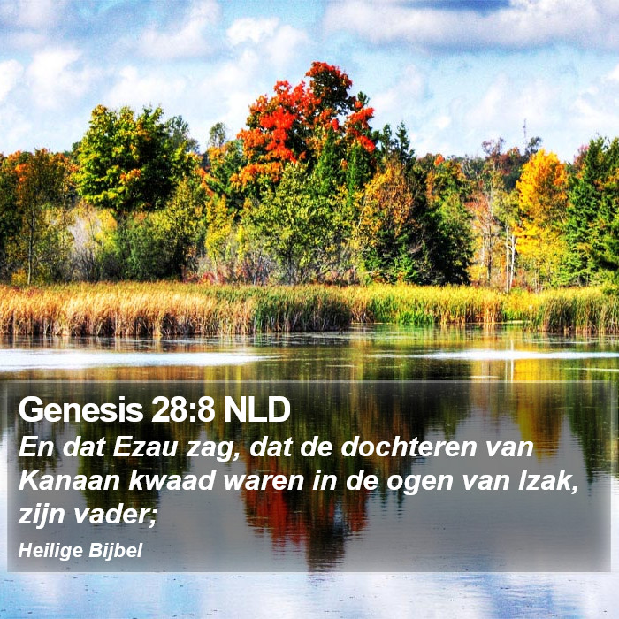 Genesis 28:8 NLD Bible Study