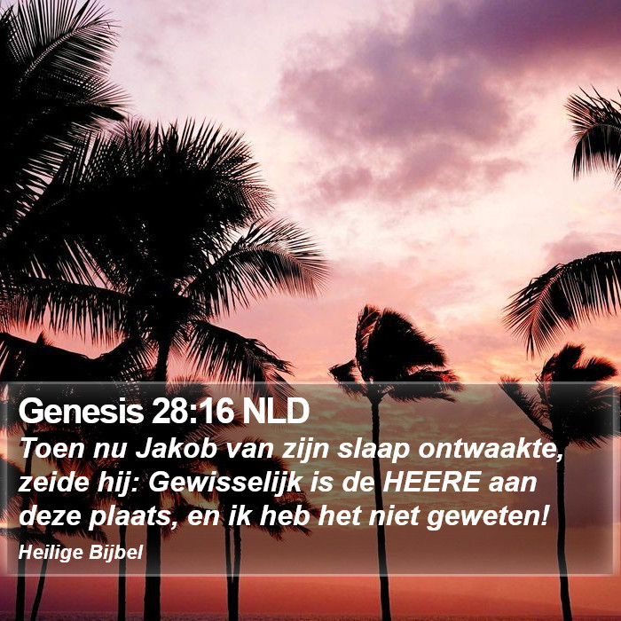 Genesis 28:16 NLD Bible Study