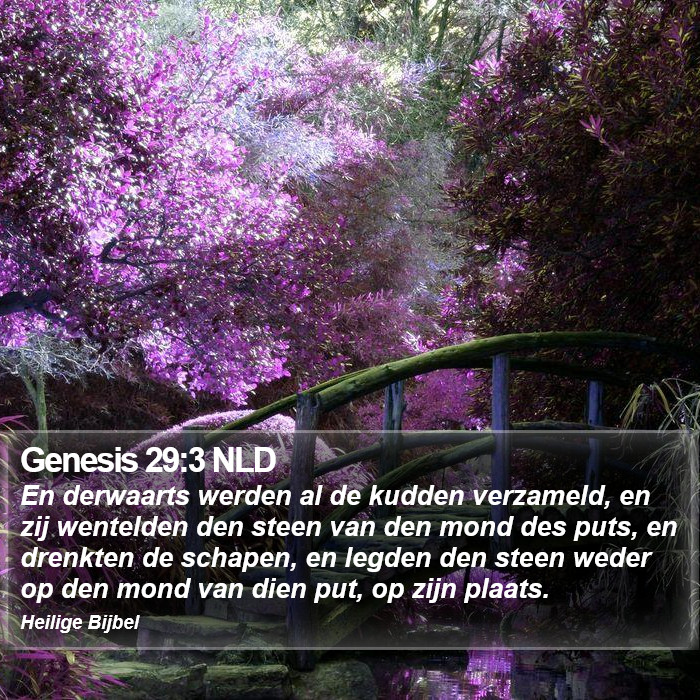 Genesis 29:3 NLD Bible Study