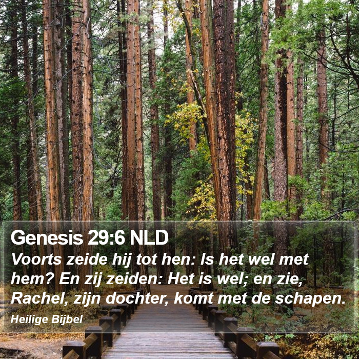 Genesis 29:6 NLD Bible Study