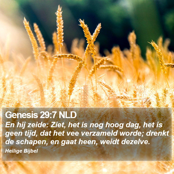 Genesis 29:7 NLD Bible Study