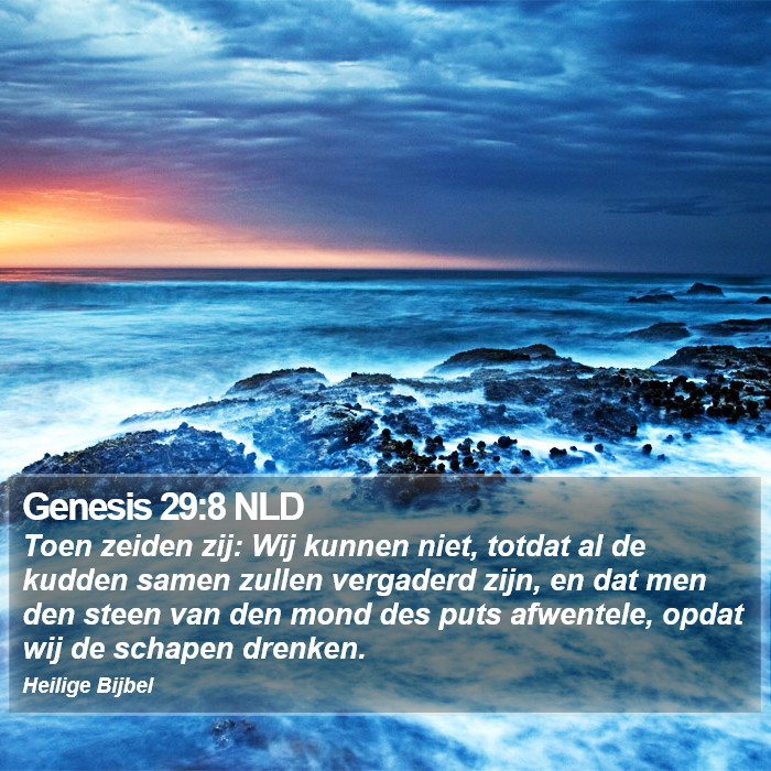 Genesis 29:8 NLD Bible Study