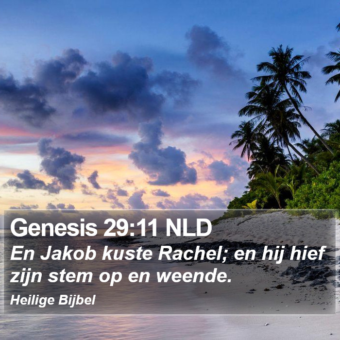 Genesis 29:11 NLD Bible Study