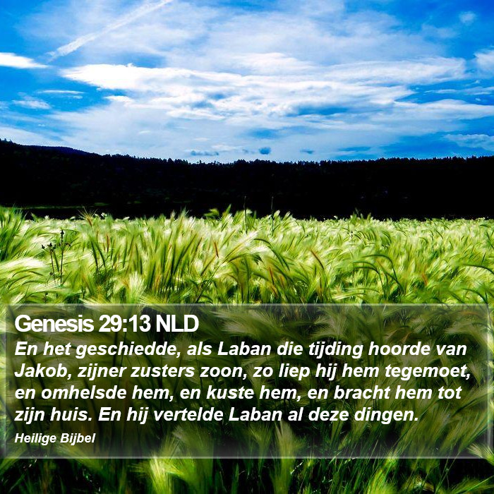 Genesis 29:13 NLD Bible Study