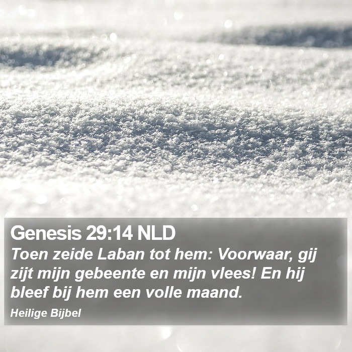 Genesis 29:14 NLD Bible Study